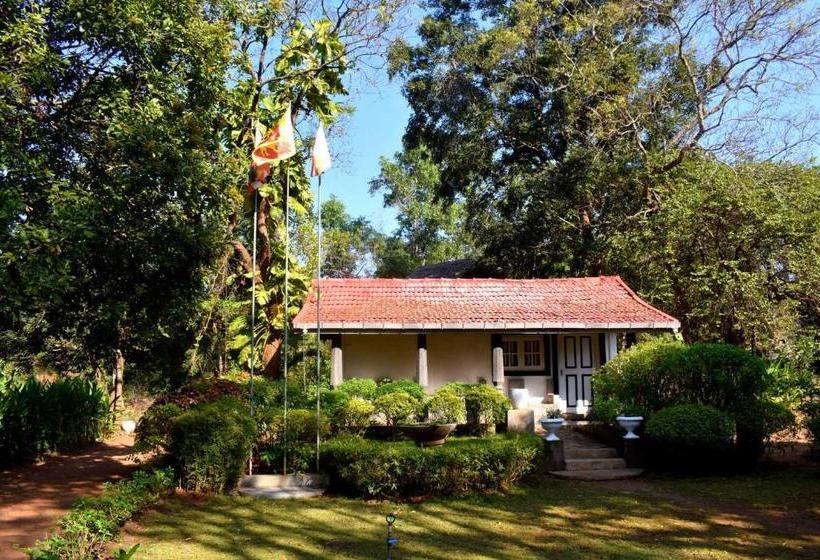 بنسيون Iora Resort Habarana