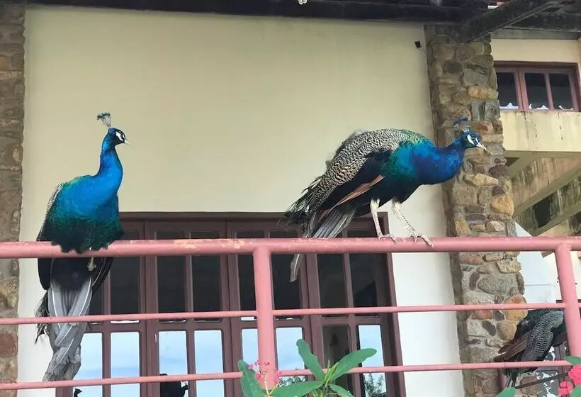 Majatalo Pousada Calugi