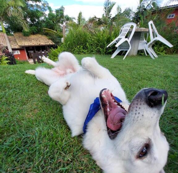 膳宿费 Pousada Vistacalma