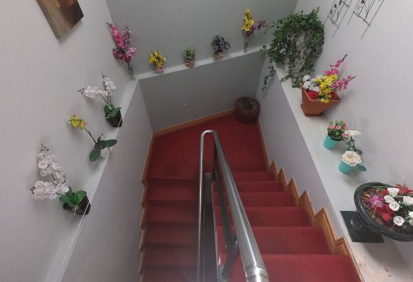 Пансион The Foggy Dew Inn