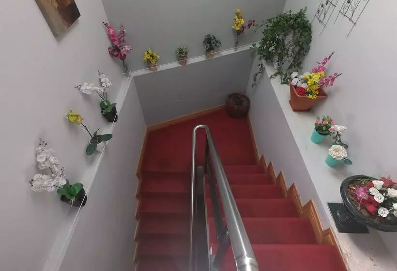 پانسیون The Foggy Dew Inn