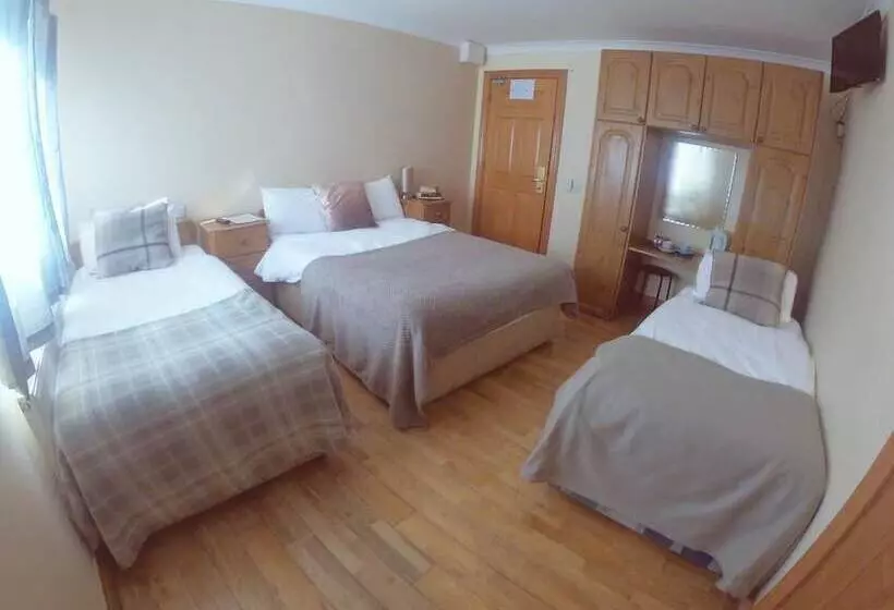 پانسیون The Foggy Dew Inn