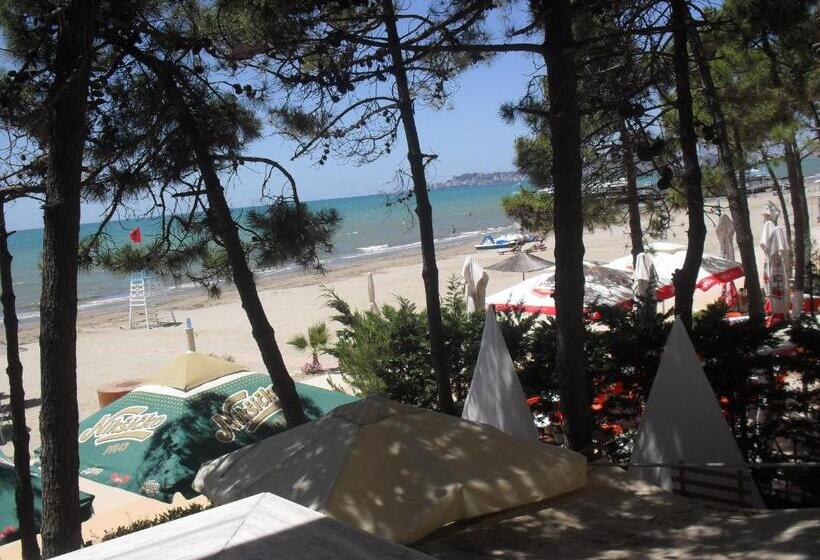 بنسيون Villa Daniele