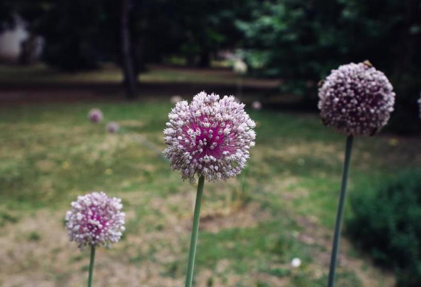 旅馆 Hostería La Península