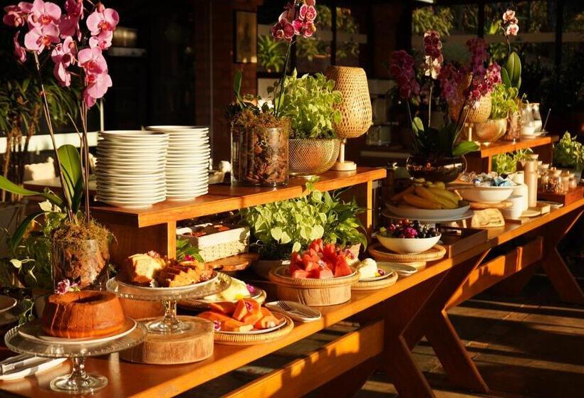 فندق صغير Pousada Vale Do Dinossauro