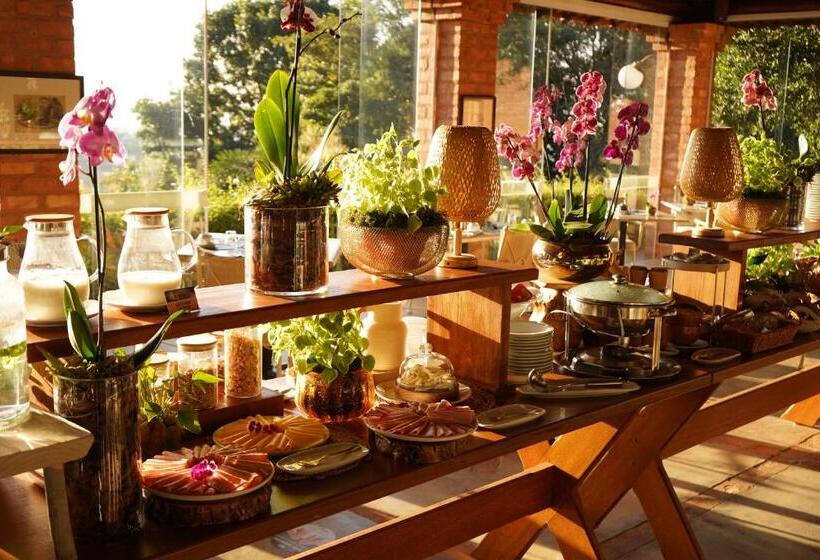 فندق صغير Pousada Vale Do Dinossauro