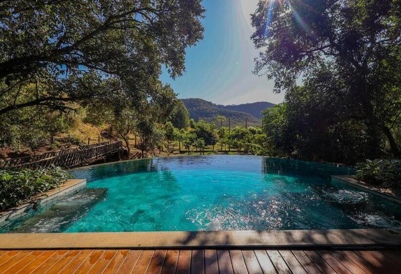 فندق صغير Pousada Vale Do Dinossauro