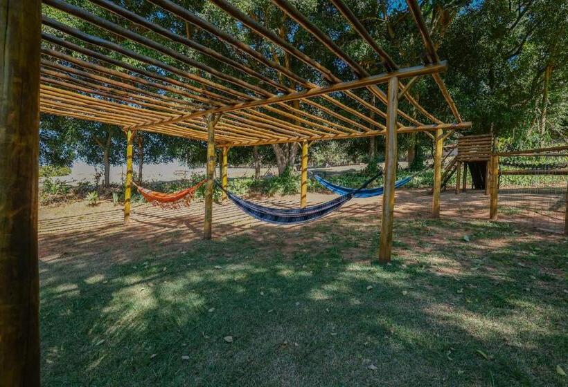 فندق صغير Pousada Vale Do Dinossauro