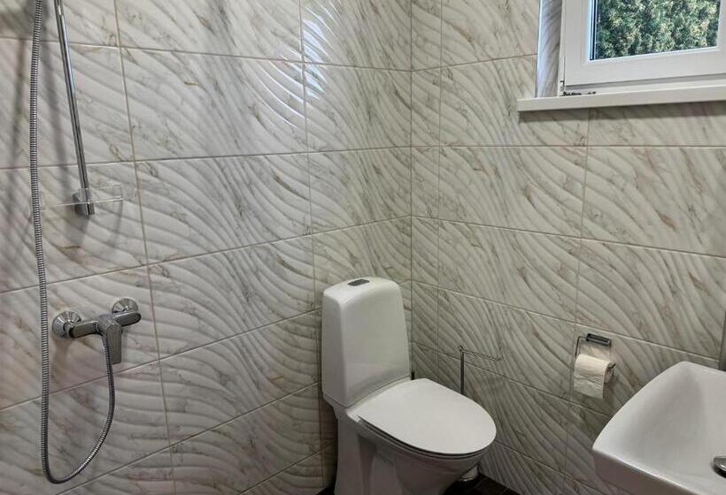 پانسیون Aare Accommodation