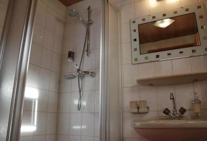 ペンション Birkenheim Widmann