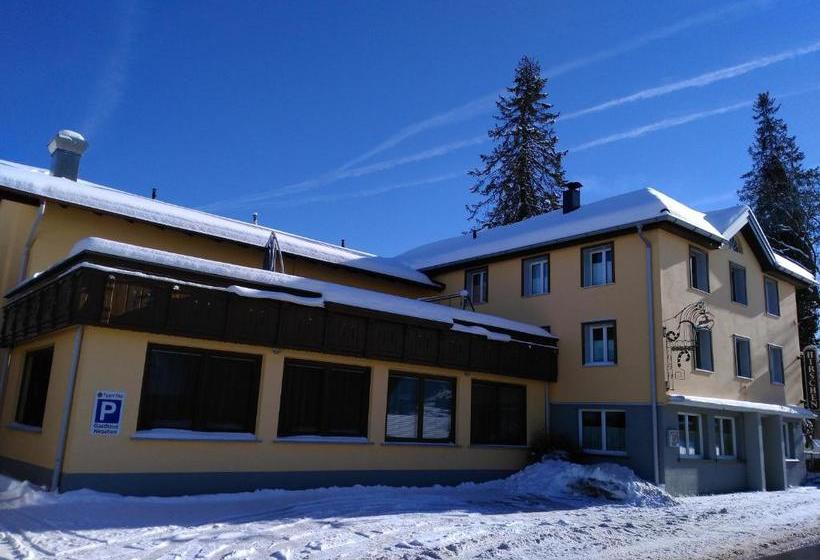 פנסיון Gasthof Hirschen