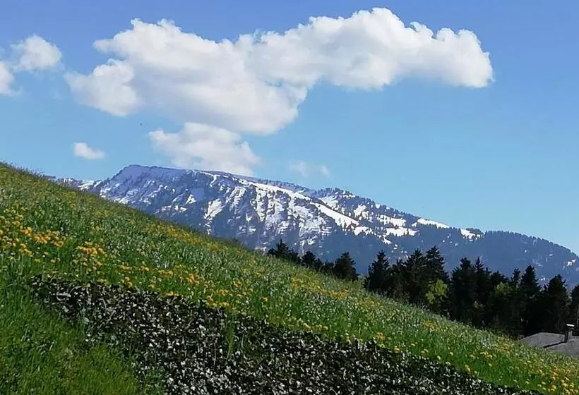 ペンション Gasthof Hirschen