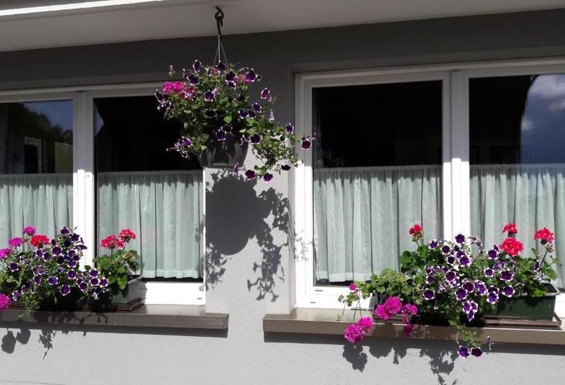 פנסיון Gasthof Hirschen