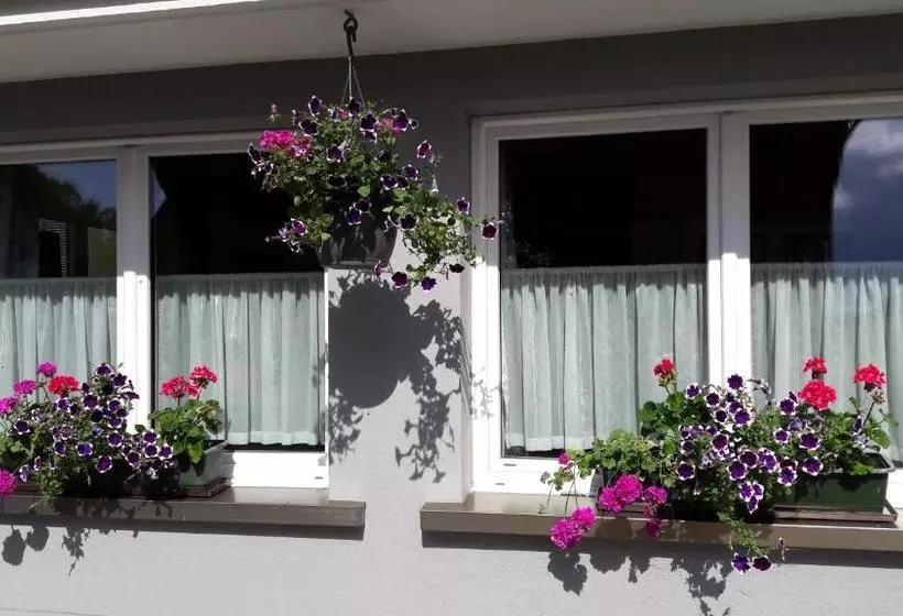 ペンション Gasthof Hirschen