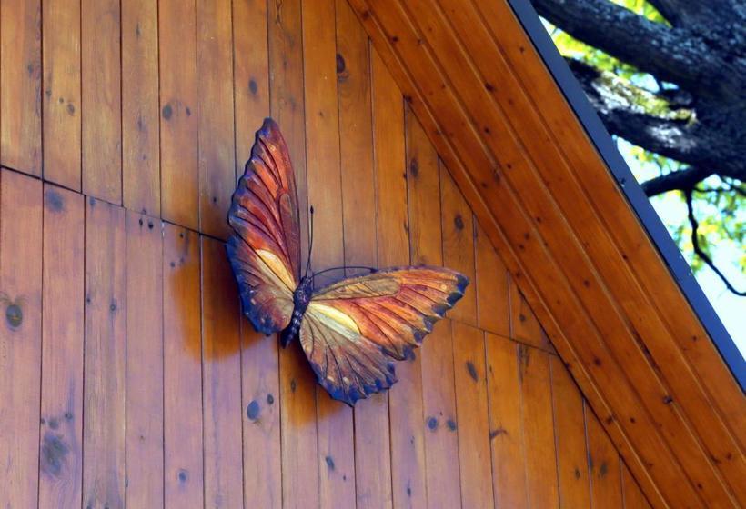 Пансион Guest House šampētera Māja