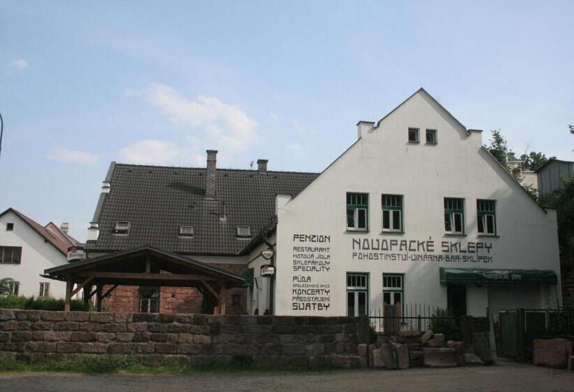 פנסיון Penzion Novopacké Sklepy