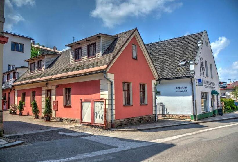 פנסיון Penzion Novopacké Sklepy