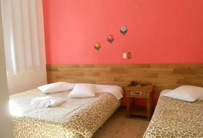 ペンション Pousada Aconchego De Minas