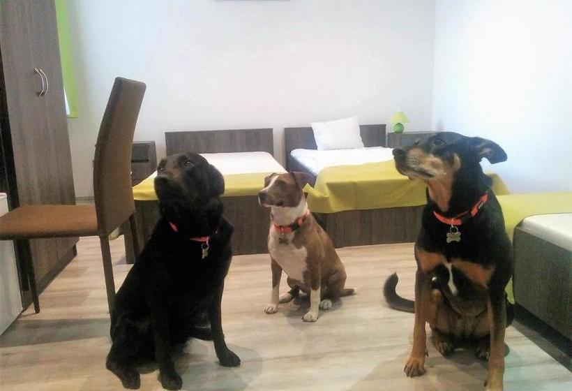 Vén Diófa De Lux Panzió