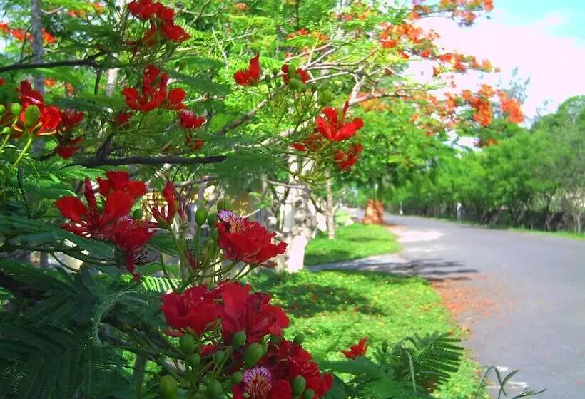 استراحتگاه River Ray Estates