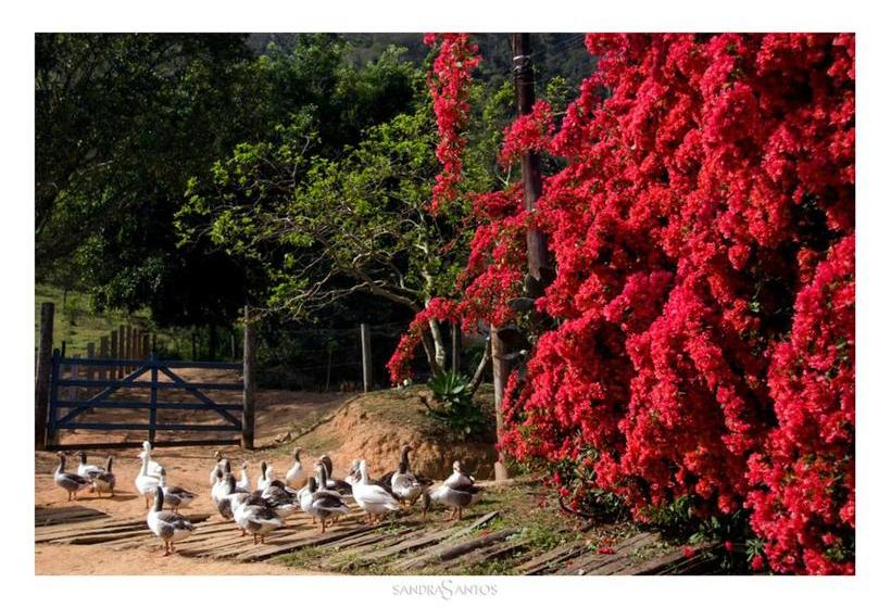 호텔 Fazenda Santo Antônio