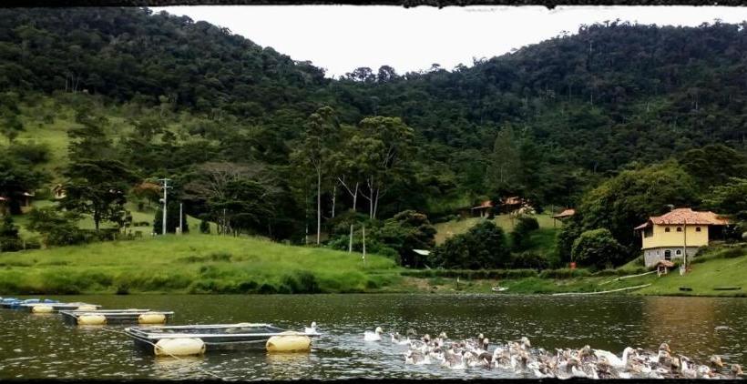 호텔 Fazenda Santo Antônio