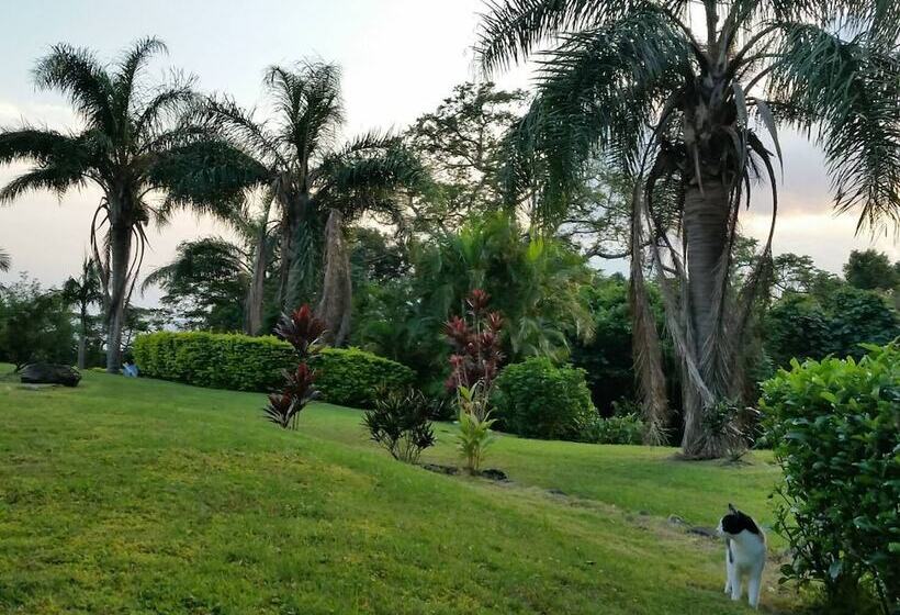 بنسيون Cottage Hana Mana