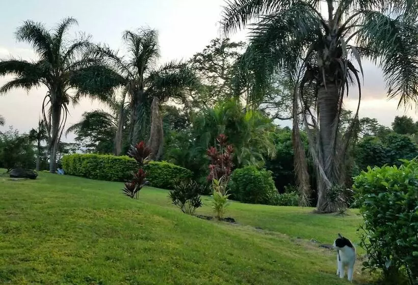 Majatalo Cottage Hana Mana