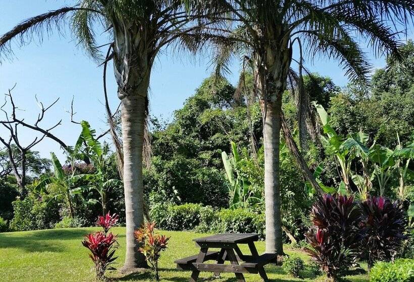 بنسيون Cottage Hana Mana