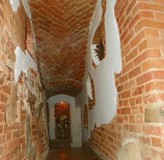 پانسیون Guest House Novus Rex