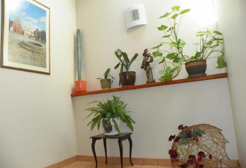 پانسیون Guest House Novus Rex