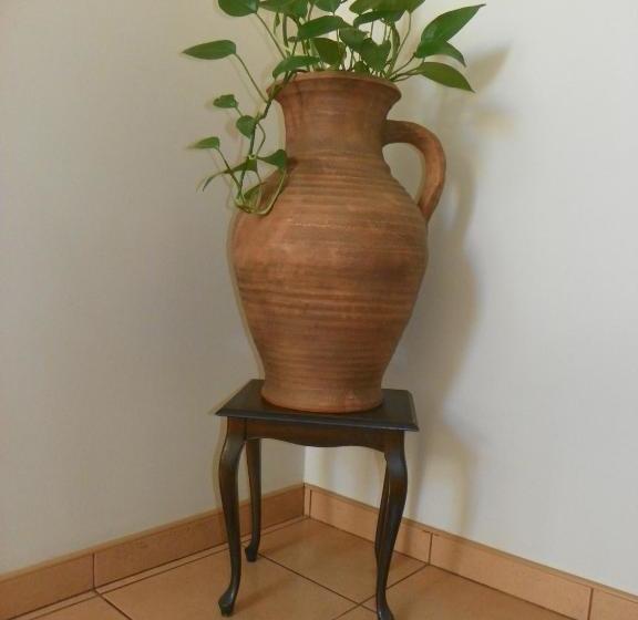 پانسیون Guest House Novus Rex