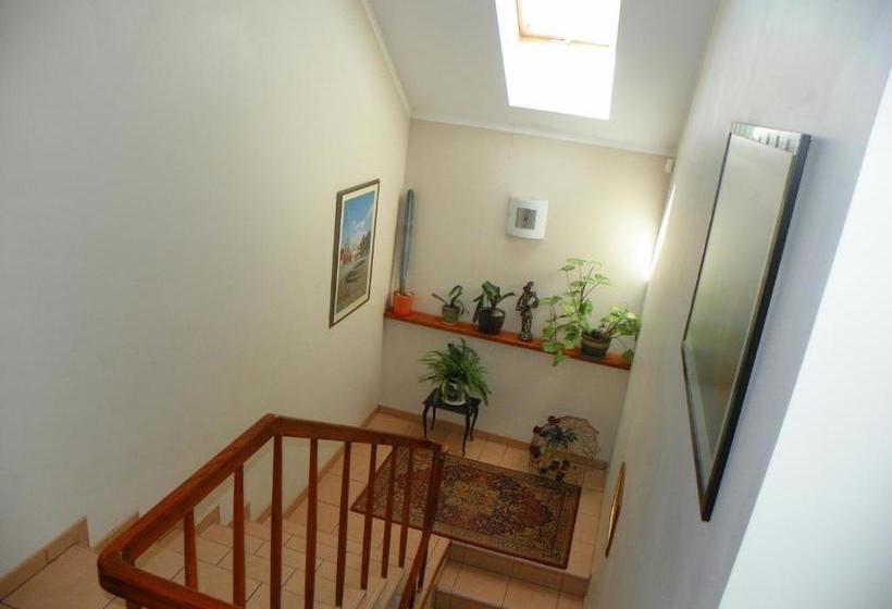 پانسیون Guest House Novus Rex