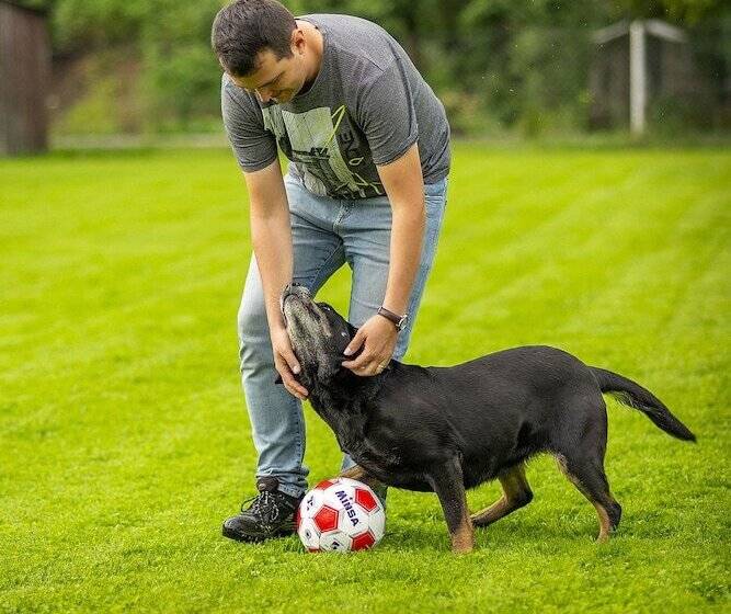 ペンション Guesthouse Cyprian