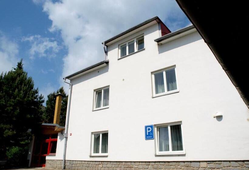 Pensionat Penzion Horinka Velké Losiny