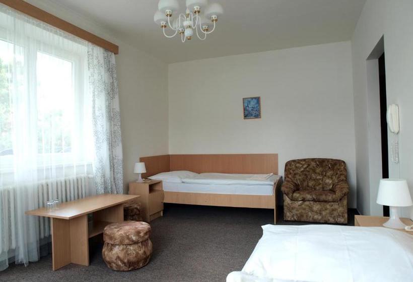 Pensionat Penzion Horinka Velké Losiny