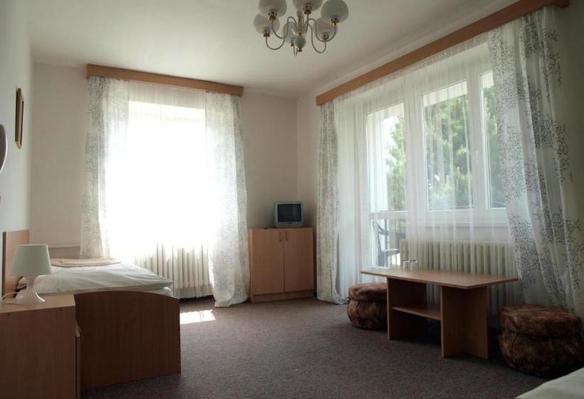 Pensionat Penzion Horinka Velké Losiny