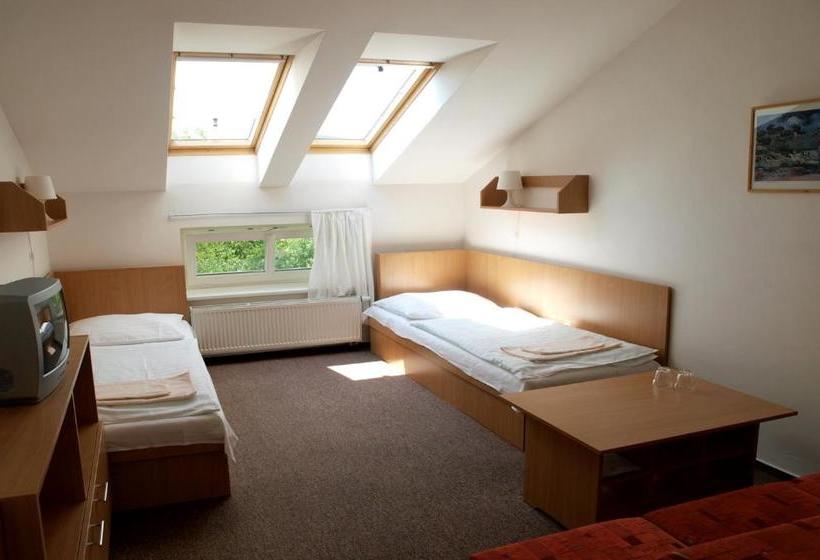 Pensionat Penzion Horinka Velké Losiny