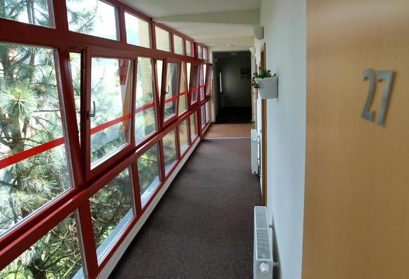 Pensionat Penzion Horinka Velké Losiny