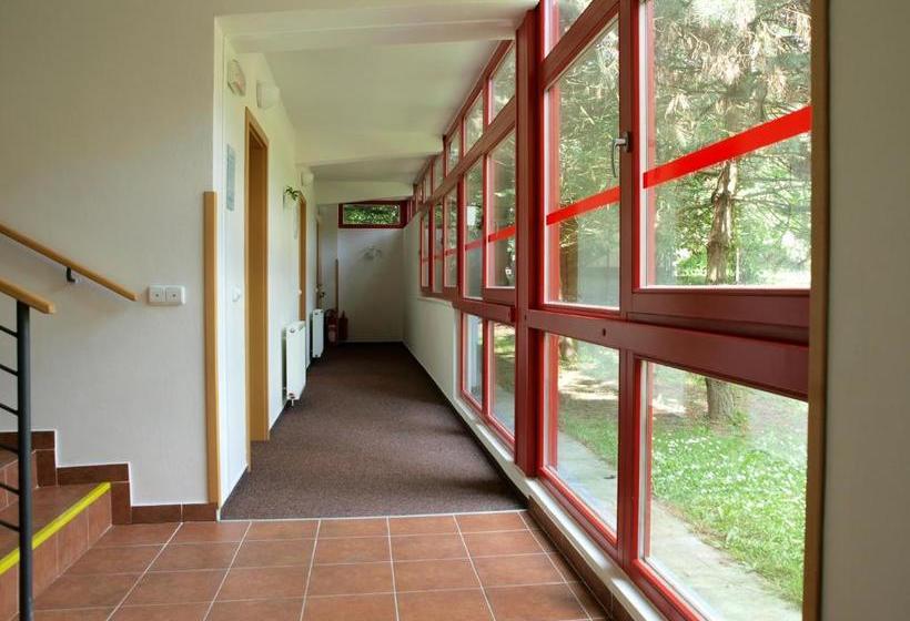 Pensionat Penzion Horinka Velké Losiny