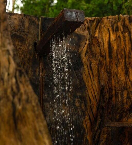 膳宿费 Pousada Raízes Do Brasil