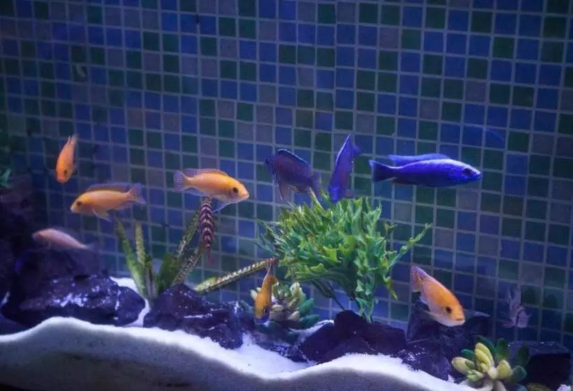 ペンション Pousada Sol E Mar