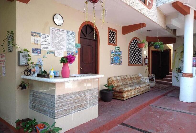 펜션 Y Bungalows Olivares