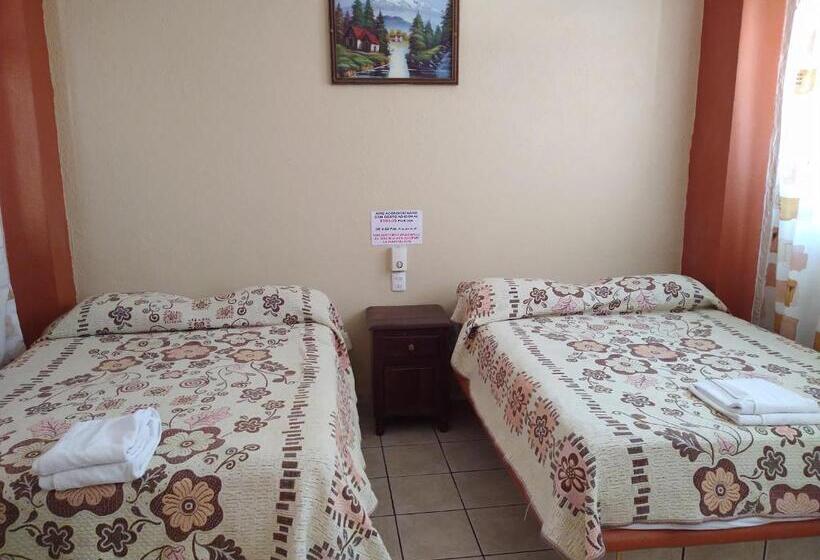 펜션 Y Bungalows Olivares