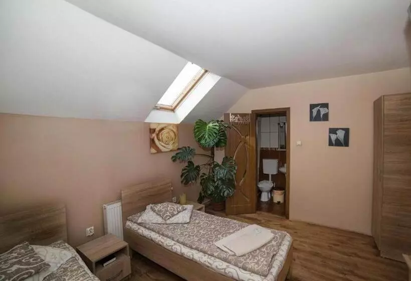 Pension Miorita