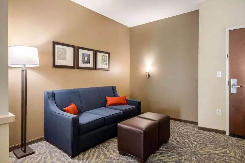 ホテル Comfort Suites  South Austin