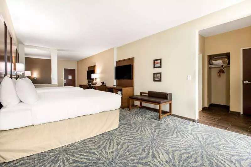 ホテル Comfort Suites  South Austin