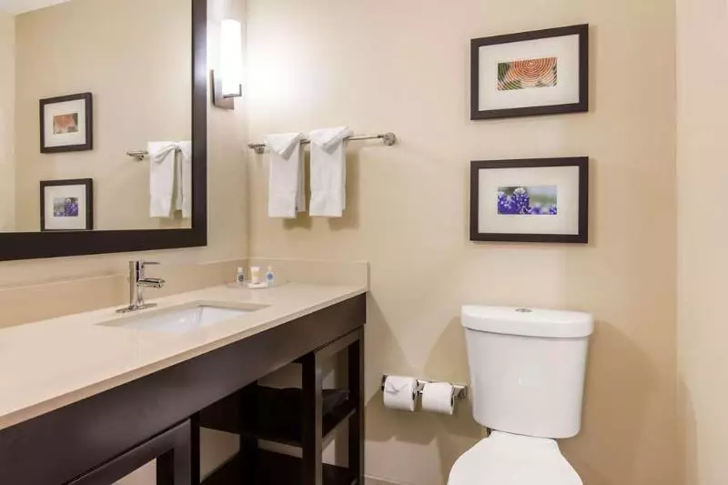 ホテル Comfort Suites  South Austin