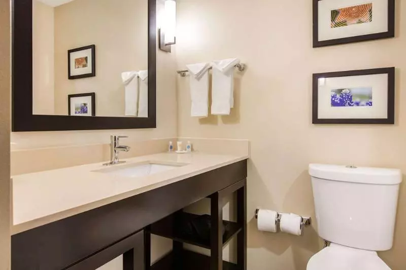 ホテル Comfort Suites  South Austin