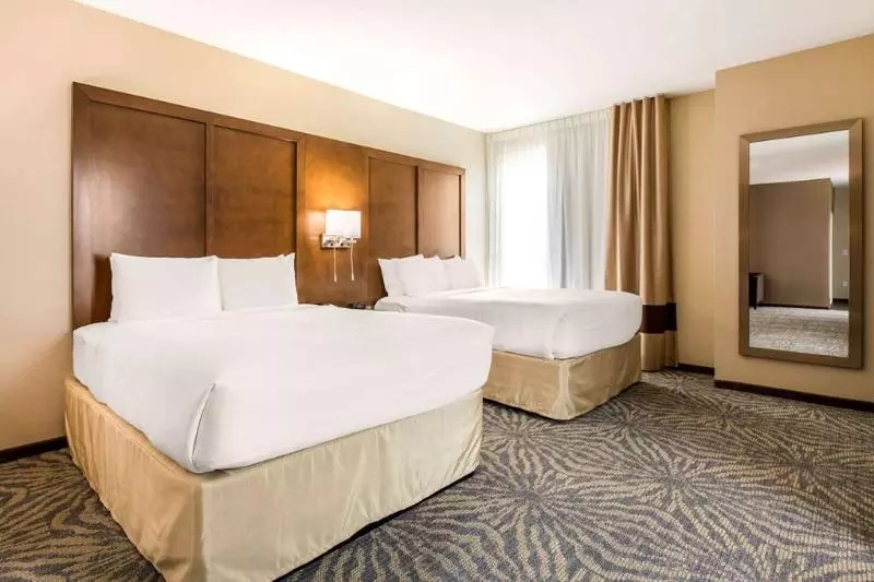 ホテル Comfort Suites  South Austin
